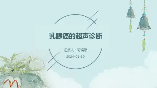 乳腺癌的超声诊断 ppt课件