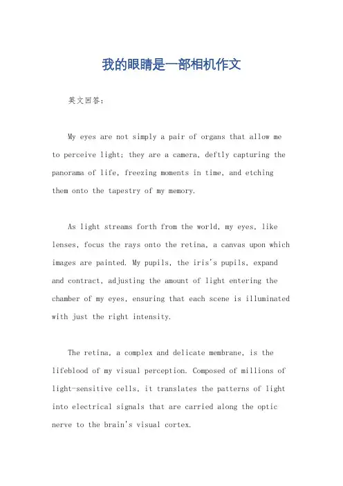 我的眼睛是一部相机作文
