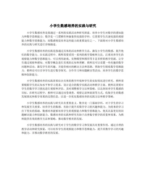 小学生数感培养的实践与研究