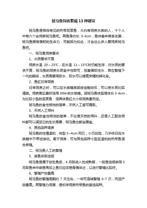 斑马鱼饲养繁殖13种建议