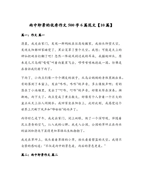 雨中即景的优秀作文500字6篇范文【10篇】