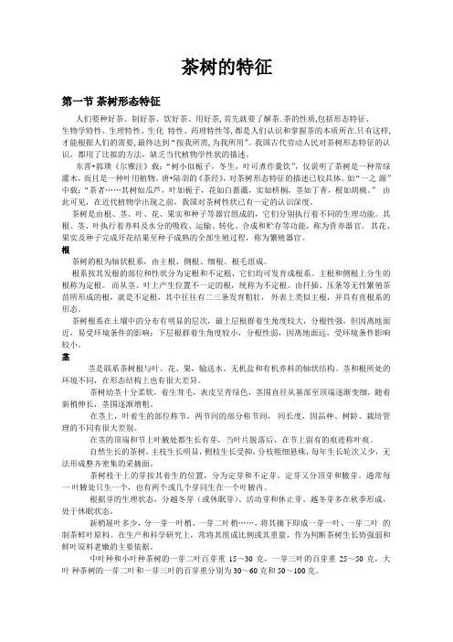 茶树的特征