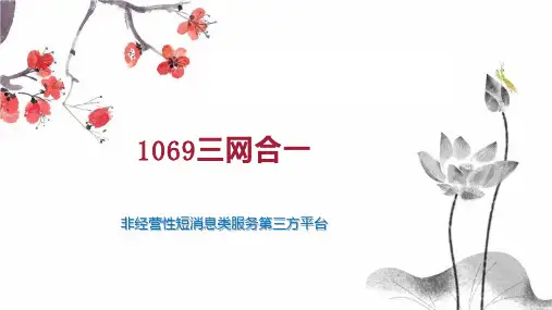 1069三网合一