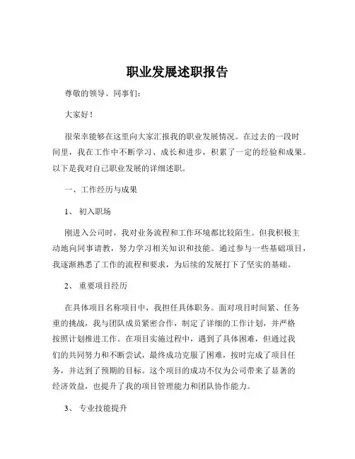 职业发展述职报告