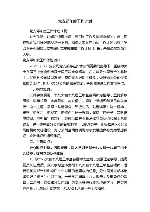 党支部年度工作计划