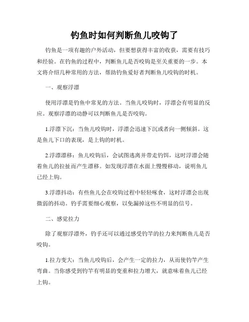 钓鱼时如何判断鱼儿咬钩了