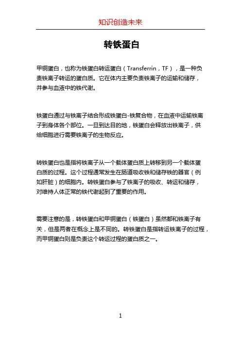 转铁蛋白_??????