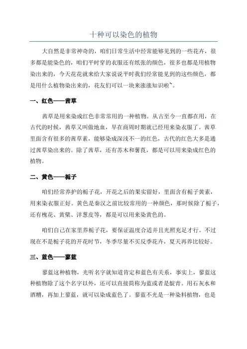 十种可以染色的植物