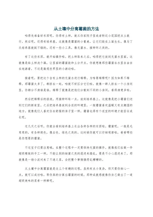 从土壤中分离霉菌的方法