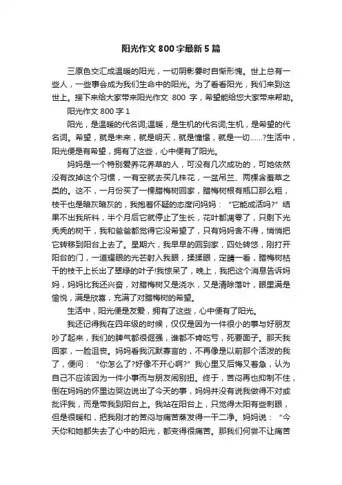 阳光作文800字最新5篇