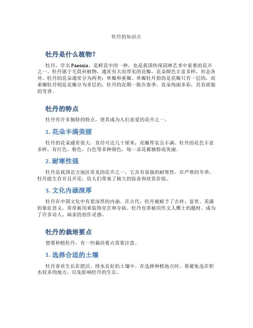 牡丹的知识点