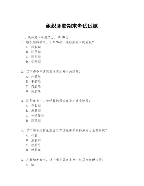 组织胚胎期末考试试题