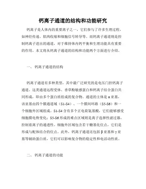 钙离子通道的结构和功能研究