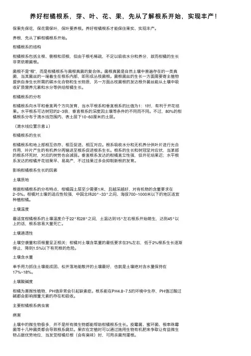 养好柑橘根系，芽、叶、花、果，先从了解根系开始，实现丰产！