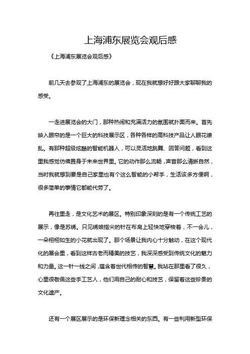 上海浦东展览会观后感