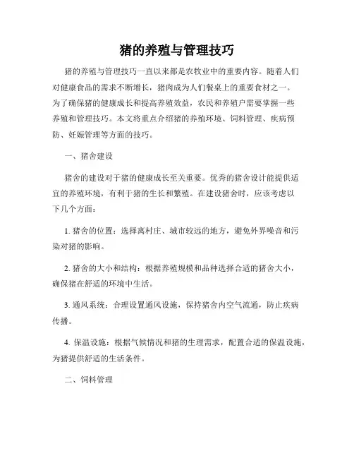 猪的养殖与管理技巧