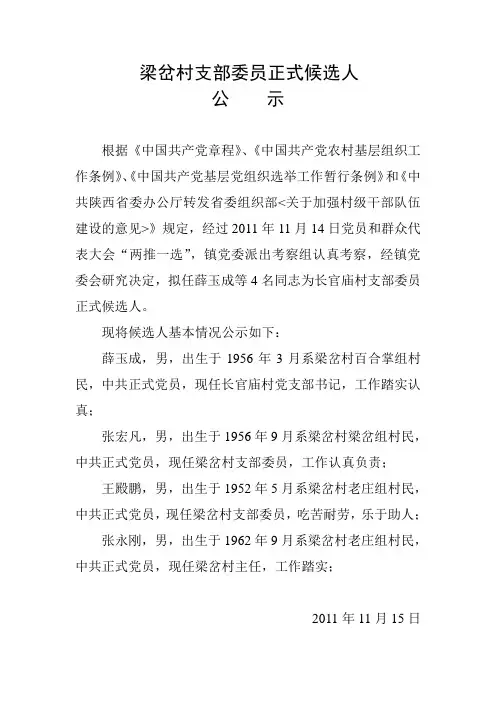 梁岔村支部委员正式候选人