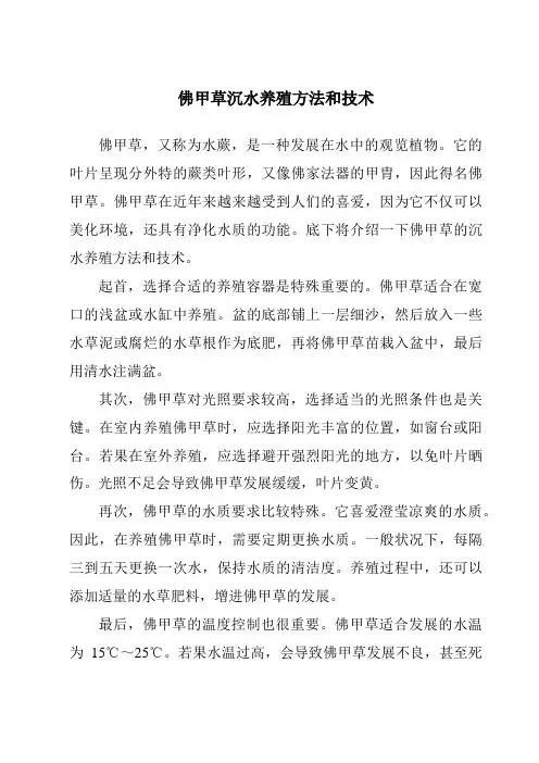 佛甲草沉水养殖方法和技术