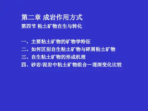 第二章 第四节 粘土矿物自生与转化