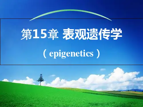 遗传学-第15章 表观遗传学