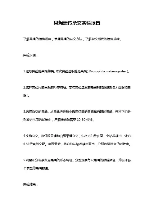 果蝇遗传杂交实验报告