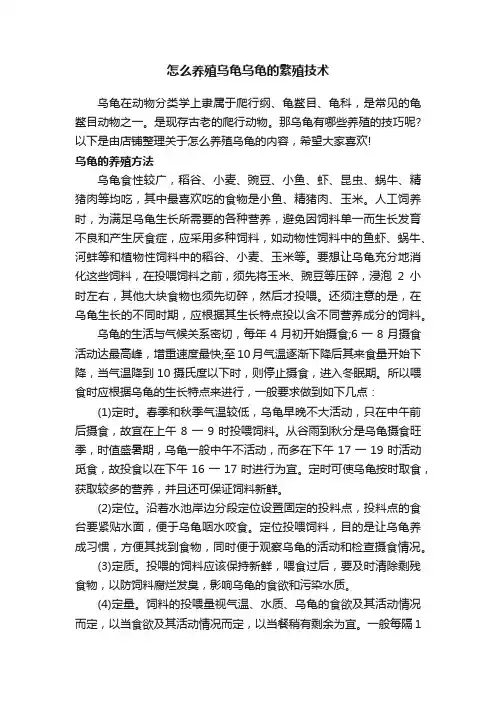 怎么养殖乌龟乌龟的繁殖技术
