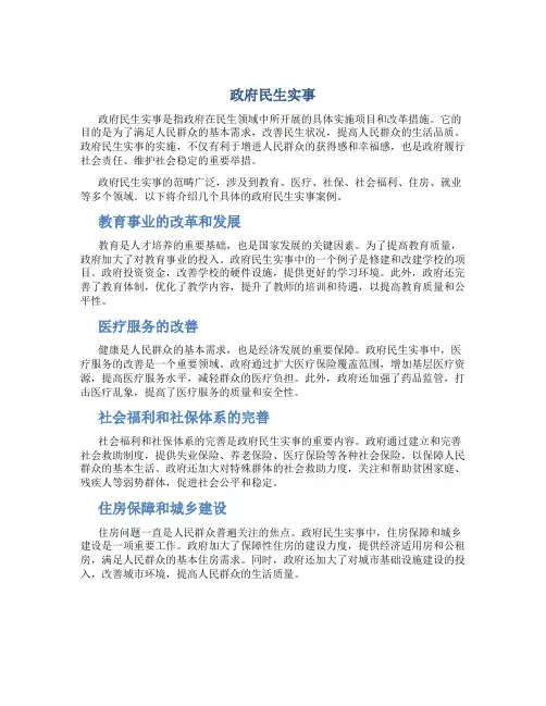 政府民生实事
