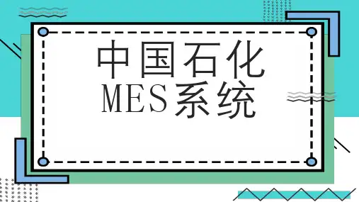 中国石化系统