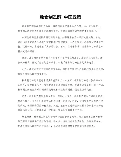 粮食制乙醇 中国政策