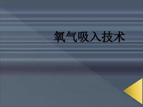 氧气吸入法新ppt课件