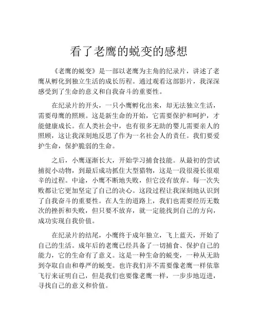 看了老鹰的蜕变的感想