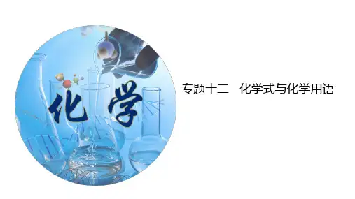 备战中考化学一轮复习考点精讲精练(全国通用)  化学式与化学用语