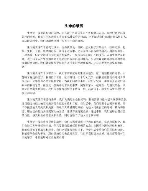 生命的感悟