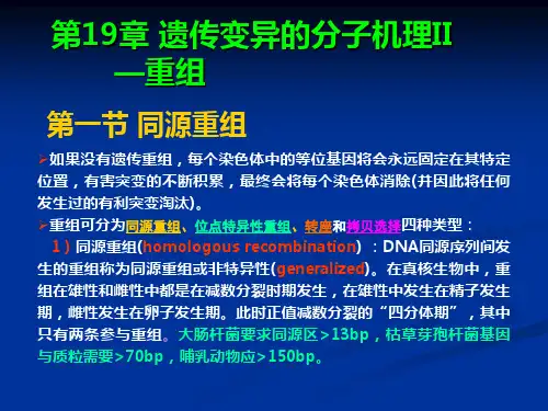 南开大学遗传学-19-20遗传变异的分子机理-重组,转座子