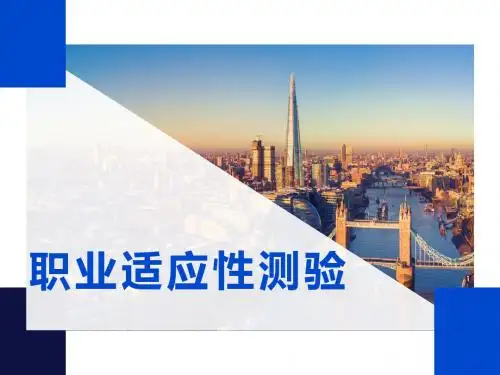 第三 职业适应性测验