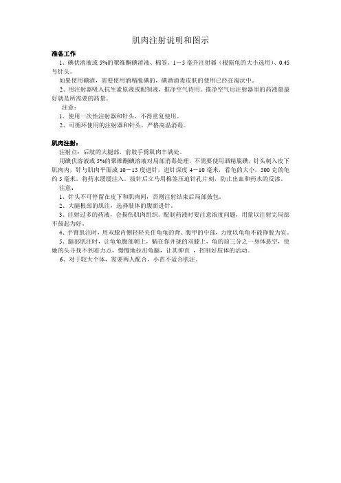 肌肉注射说明和图示