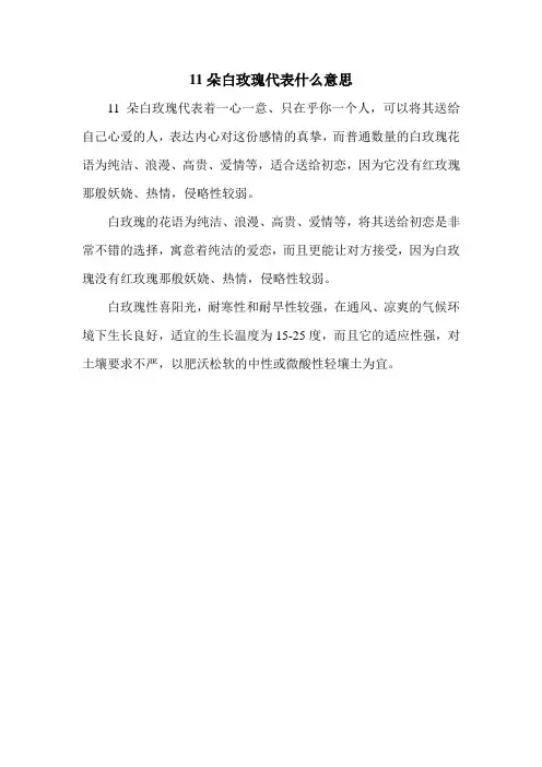 11朵白玫瑰代表什么意思