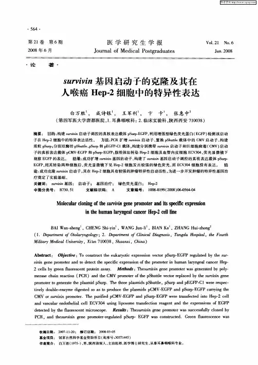 survivin基因启动子的克隆及其在人喉癌Hep-2细胞中的特异性表达