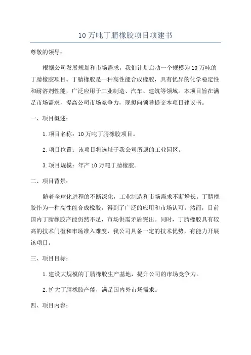 10万吨丁腈橡胶项目项建书
