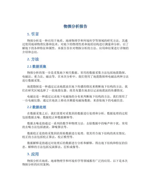 物探分析报告