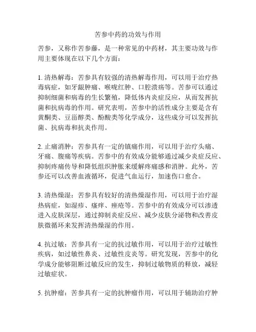 苦参中药的功效与作用