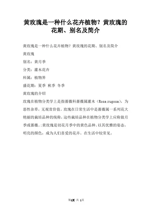 黄玫瑰是一种什么花卉植物？黄玫瑰的花期别名及简介