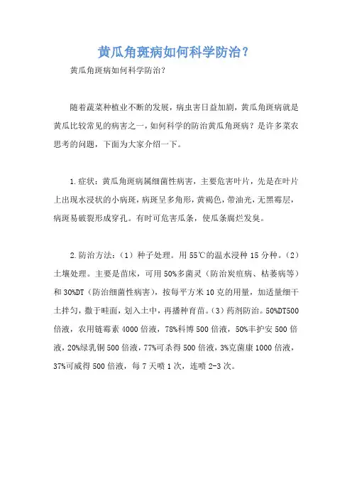 黄瓜角斑病如何科学防治？