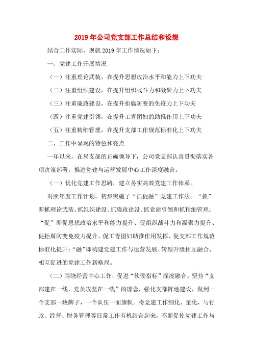 2019年公司党支部工作总结和设想