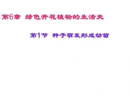6.1种子萌发形成幼苗_ppt