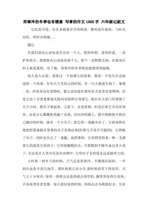 再寒冷的冬季也有暖意 写事的作文1000字 六年级记叙文