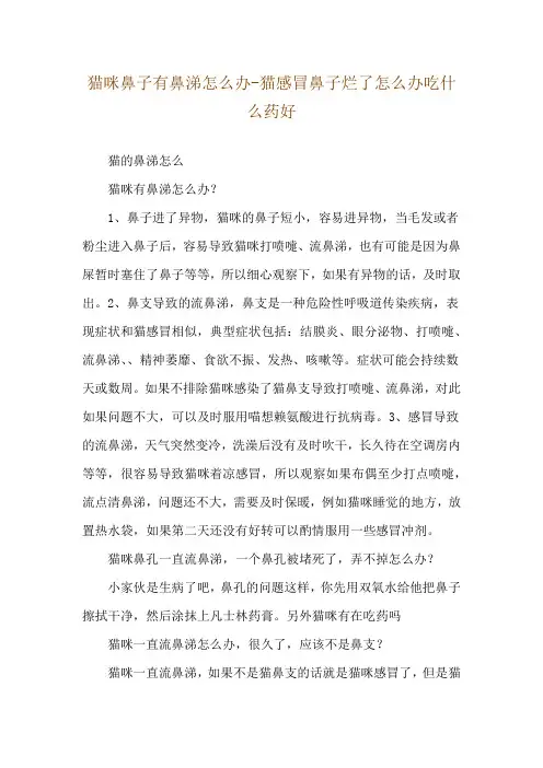 猫咪鼻子有鼻涕怎么办-猫感冒鼻子烂了怎么办吃什么药好