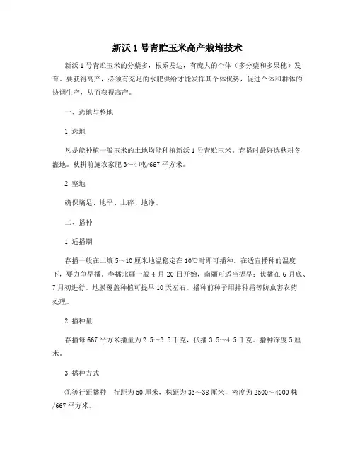 新沃1号青贮玉米高产栽培技术