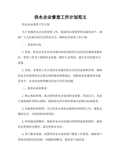 供水企业督查工作计划范文