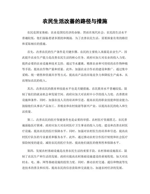 农民生活改善的路径与措施